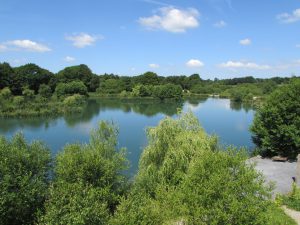L'Angottiere carp fishery offering exclusive carp fishing in france