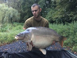 carp capture for gallery at L'Angottiere carp fishery in Normandy, france